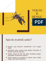 VEKTOR DENGUE AEDE