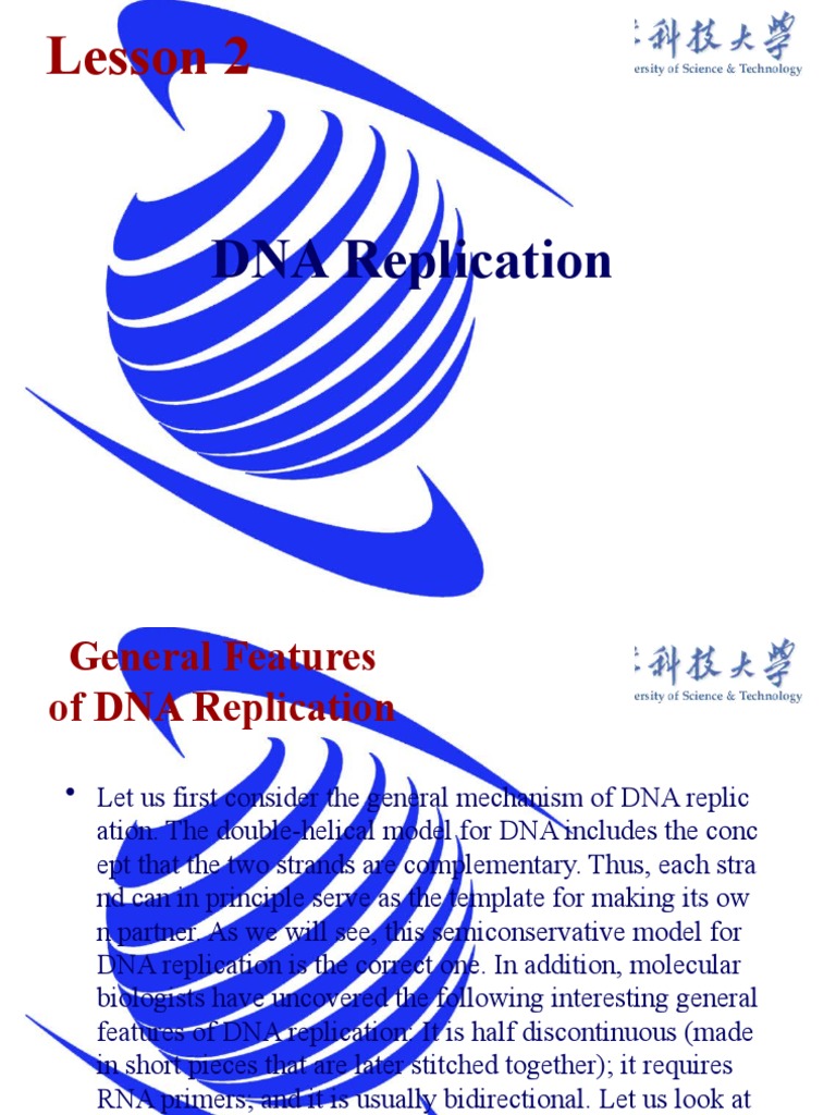 Lesson 2 PDF Dna Replication Primer (Molecular Biology)
