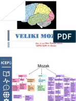 Veliki Mozak Dr. Med. Miloš Potkrajac