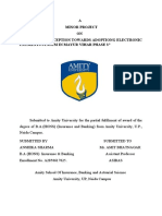 A Minor Project ON "Consumer Perception Towards Adoptiong Electronic Payments System in Mayur Vihar Phase 3"