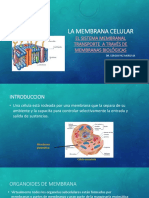 Membrana Celular Presentacion PDF