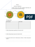 Tugas 3 Jaringan Tumbuhan