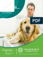 Programa medicina veterinaria 