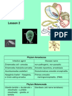 MEDICAL BIOLOGY - Lesson 2 on Amoebozoa and Metamonada