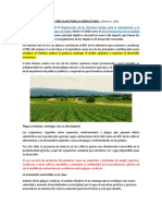 20-08-20-Agricultura - Separaata 1