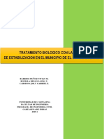 Proyecto Saneamiento Corte 2 PDF
