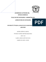 Principios, Protección de La Maternidad y Licencia Por Paternidad.