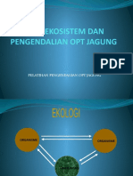 OPT JAGUNG