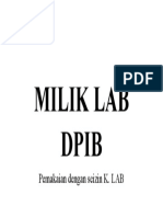 MILIK LAB DPIB.docx