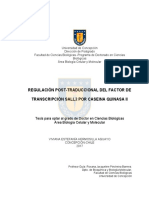 Tesis_regulacion_post_traduccional_del_factor_transcripcion_quinasa_II.pdf