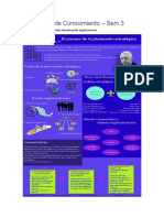 Producción de Conocimiento Sem3