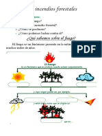 Los Incendios Forestales - 7mo