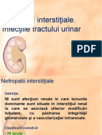 Infecţiile tractului urinar nefropatii interstiale1.ppt