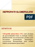 Nefropatii glomerulare PRELEGERE refacut (2).ppt
