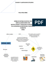 PAULA actividad 8 mapa mental identificacion de peligros.pdf
