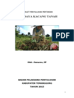 Budidaya Kacang Tanah: Booklet Penyuluhan Pertanian