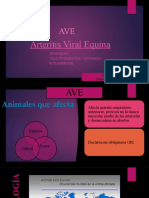 Arteritis Viral Equina