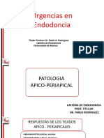 urgenciasendo.pdf