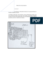 Practica Calificada 4