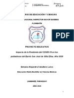 Proyecto Educativo-Betania Caballero