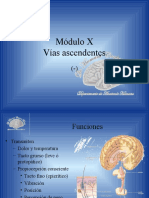 Vías Ascendentes