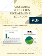 Estasdisticas Del Ecuador en Produccion