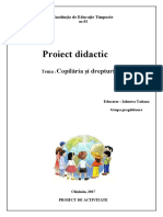 PROIECT-DE-ACTIVITATE.doc
