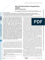 50 DiazRuiz08 PDF