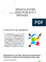 DIFERENCIA ENTRE DOMINIO PUBLICO Y PRIVADO. PP