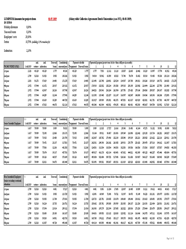 Dutch University Salary Breakdown | PDF | Salary | Learning