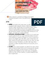 taller sistema urinario laura tobar