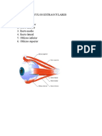 Músculos Extraoculares Clinica