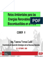4 Vanessa Vereau PDF