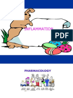 Inflammatory & NSAIDs