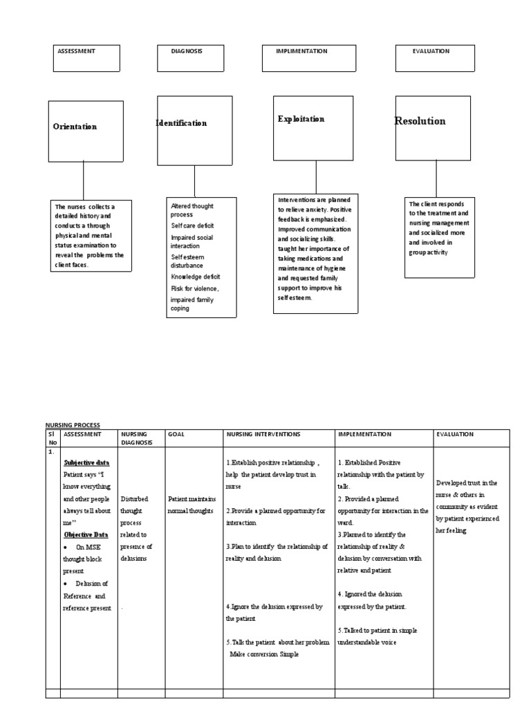 Care Plan Undifferentiated | PDF | Hallucination | Nursing