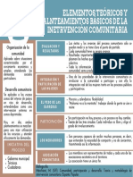 Organizador3-ExperienciasComunitarias - Elementos Teóricos y Palnteamientos Básicos de La Inetrvencion Comunitaria PDF