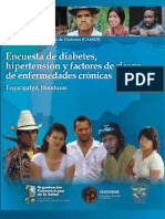 Encuesta de Diabetes Honduras PDF