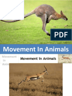Movement in Animals
