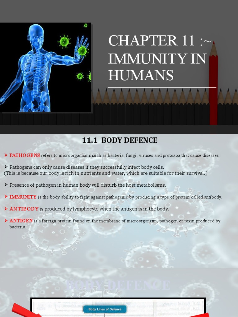 Chapter 11: Immunity in Humans | PDF