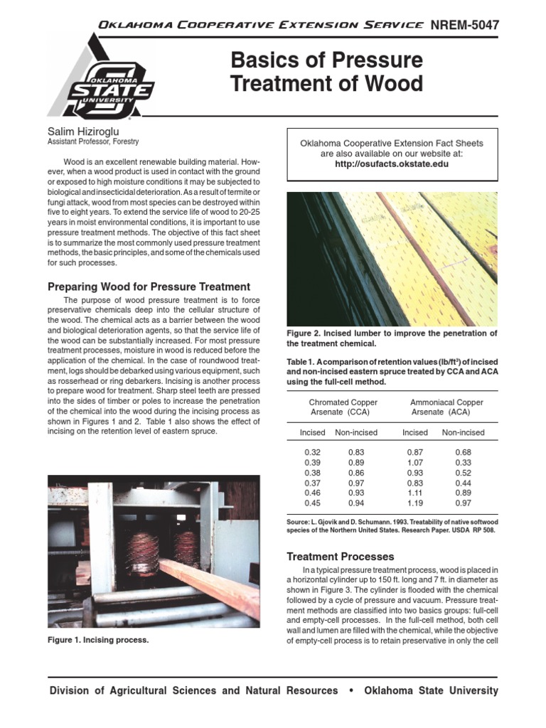 Basics of Pressure Treatment of Wood PDF PDF Lumber Materials