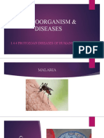 Microorganism & Diseases: 1.4.4 Protozoan Diseases of Humans