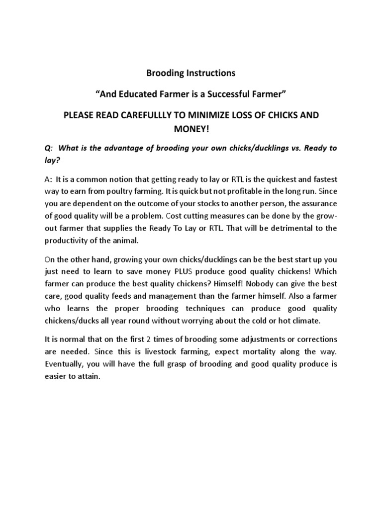 Brooding Instructions PDF | PDF | Chicken | Farmer