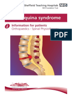 Cauda Equina Syndrome: Information For Patients