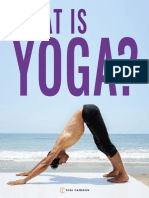 YogiCameron WhatIsYoga