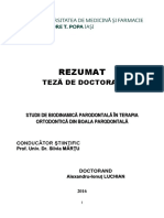 Rezumat Romana Teza Doctorat Luchian Ai