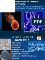 Bacteri PPV