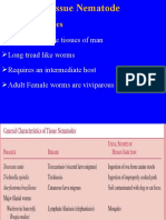 Tissue Nematode Lect 4