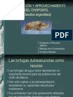 Conservación y Aprovechamiento Del Chopontil