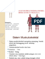 ANATOMI FISIOLOGI MUSKULOSKELETAL KEL.4.pptx