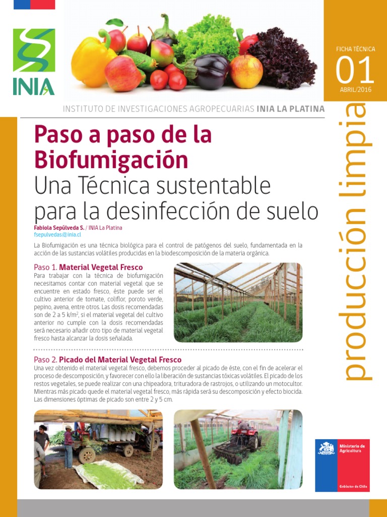 Guía Práctica de Biofumigación | PDF | Pajote | Suelo